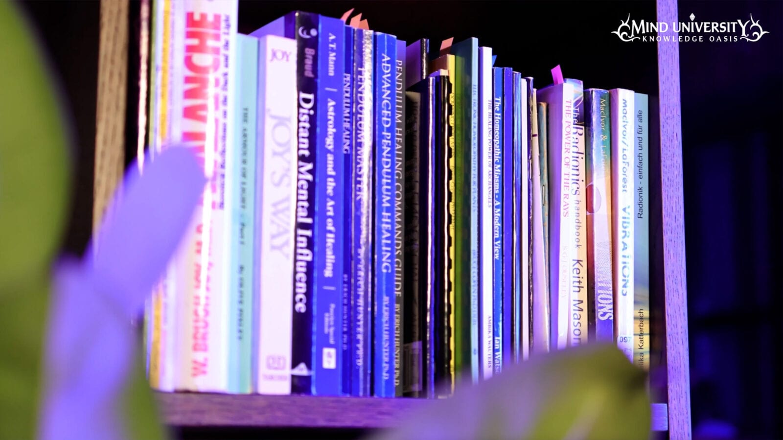 Полка с книгами по радионике, маятниковому лечению и целительству в фиолетовом освещении