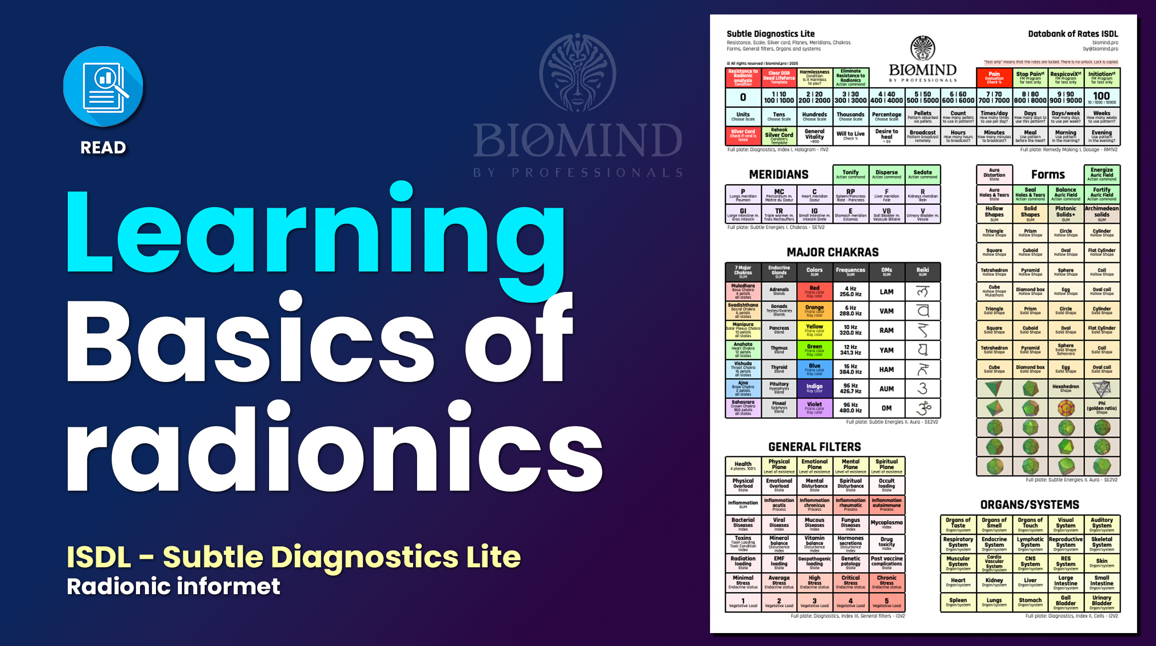 Subtle Diagnostics Lite Informet