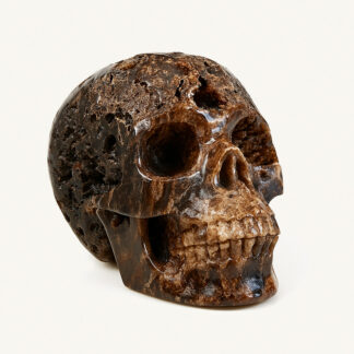 Окаменевший деревянный череп